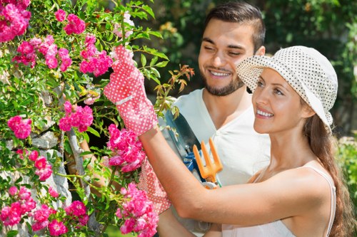 Hedge trimming techniques and tools