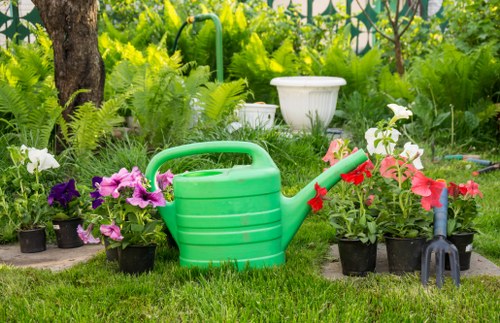 Professional garden clearance in Osterley